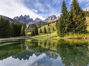 almsee-1